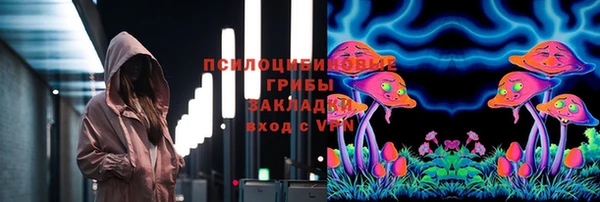 меф Белокуриха