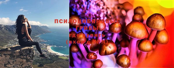 альфа пвп Беломорск